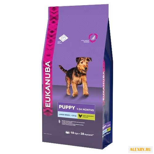 Корм для собак Eukanuba Puppy