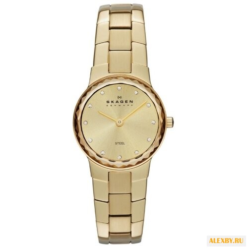 Наручные часы SKAGEN SKW2073