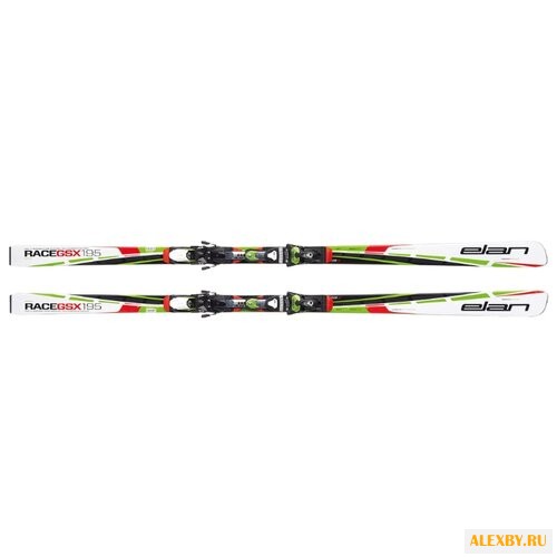 Горные лыжи Elan GSX FIS Plate