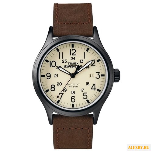 Наручные часы TIMEX T49963