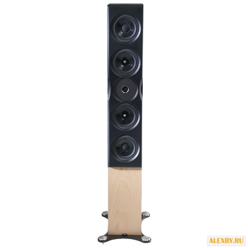 Акустическая система Neat