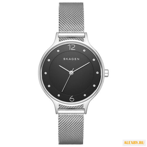 Наручные часы SKAGEN SKW2473