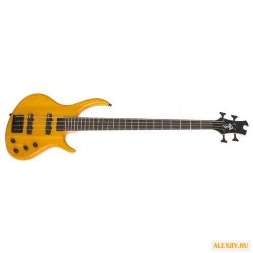 Бас-гитара Epiphone Toby Deluxe