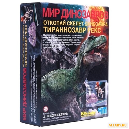 Набор для раскопок 4M Откопай