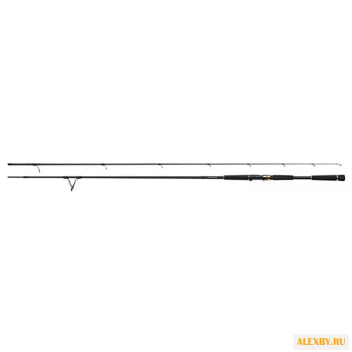 Удилище спиннинговое DAIWA