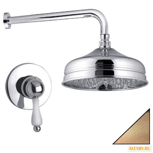 Верхний душ Giulini Harmony