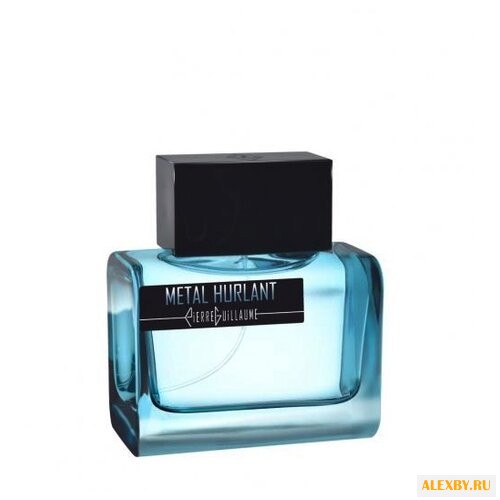 Pierre Guillaume Metal Hurlant