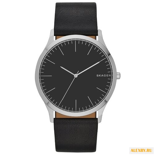 Наручные часы SKAGEN SKW6329