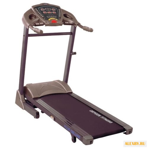 Электрическая беговая дорожка