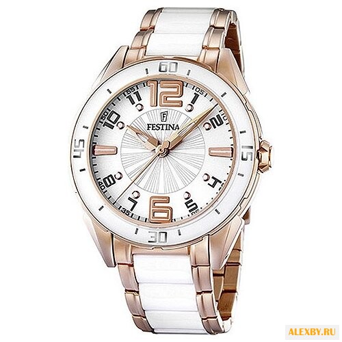 Наручные часы FESTINA F16397 1