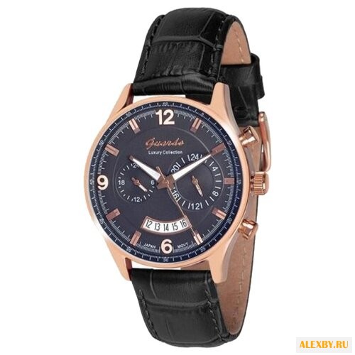 Наручные часы Guardo S13941.8