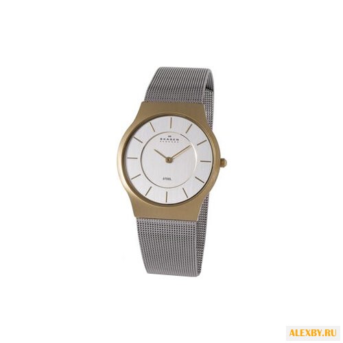 Наручные часы SKAGEN 233LGS