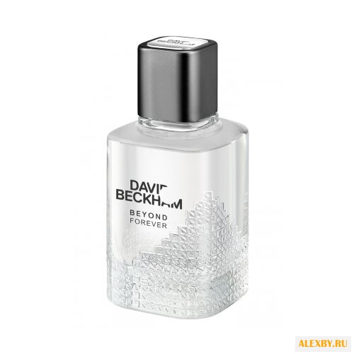 David Beckham Beyond Forever