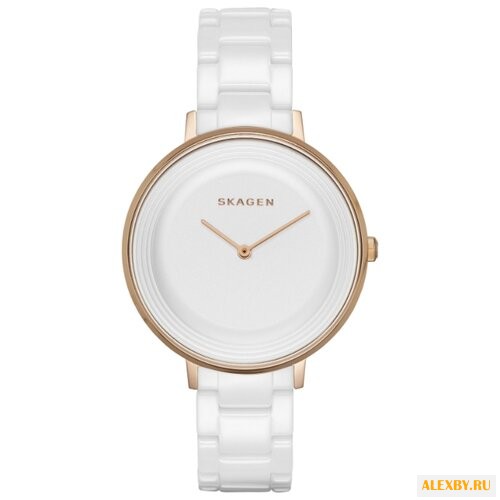 Наручные часы SKAGEN SKW2316