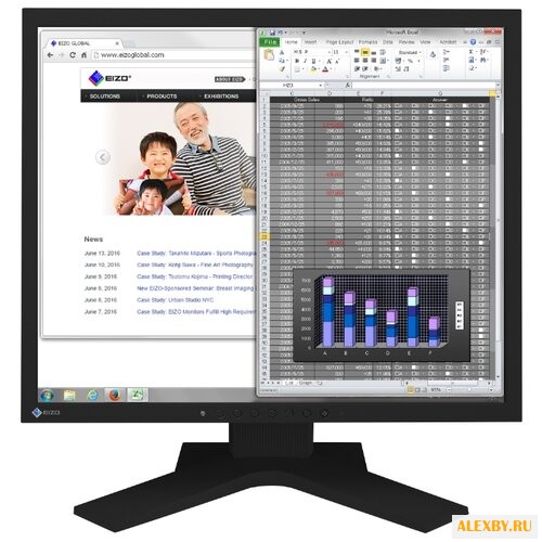 Монитор Eizo FlexScan S1934H