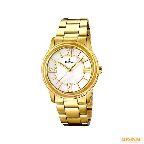 Наручные часы FESTINA F16724 1