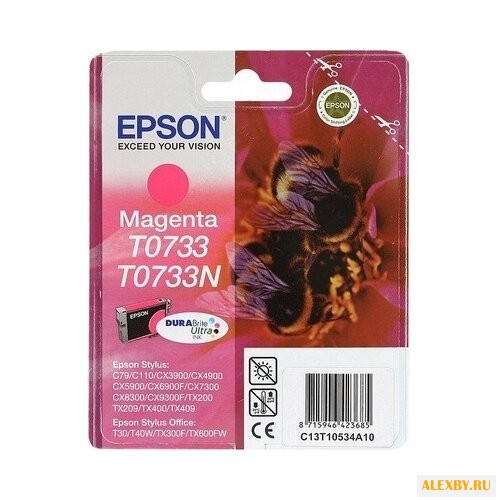 Картридж Epson C13T10534A10