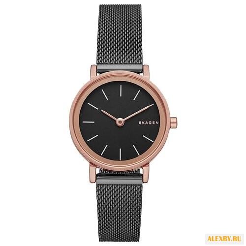 Наручные часы SKAGEN SKW2492