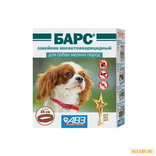 Барс АВЗ Ошейник