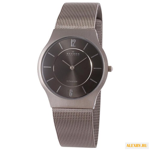 Наручные часы SKAGEN 233LTTM