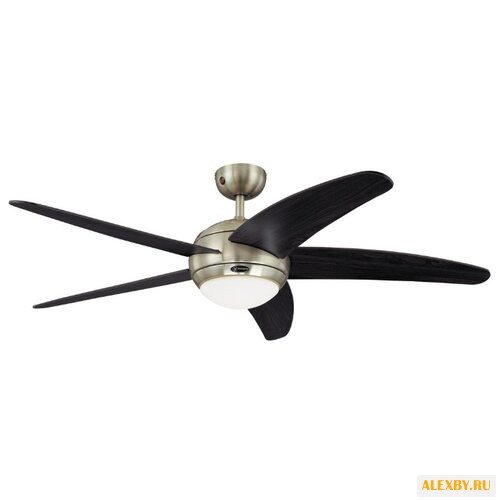 Потолочный вентилятор