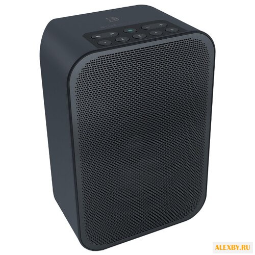 Портативная акустика Bluesound