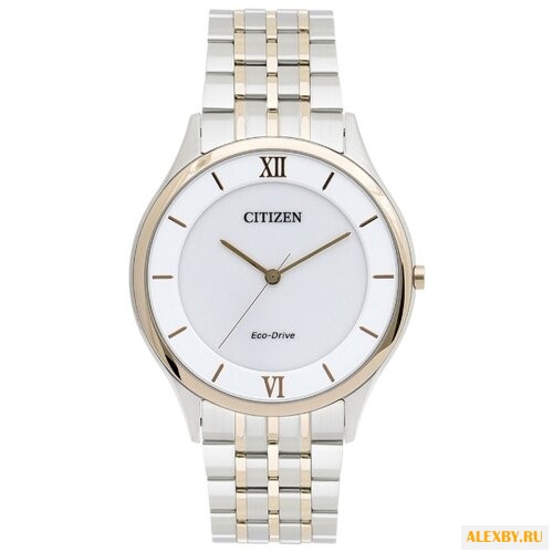 Наручные часы CITIZEN AR0075-58A