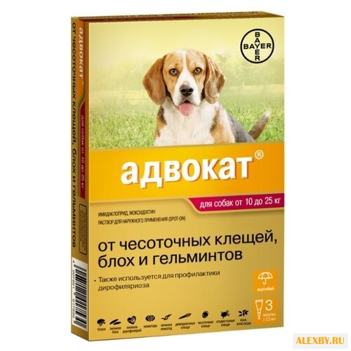 Адвокат Bayer Адвокат для собак