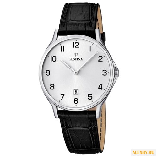 Наручные часы FESTINA F16745 1