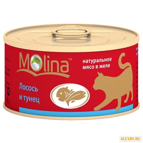 Корм для кошек Molina Консервы