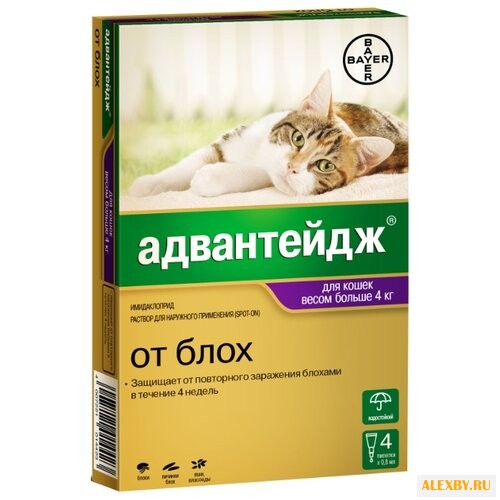 Адвантейдж Bayer Адвантейдж для