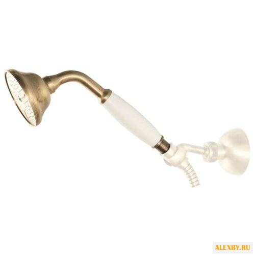 Лейка для душа CAPRIGO 99-260-vot