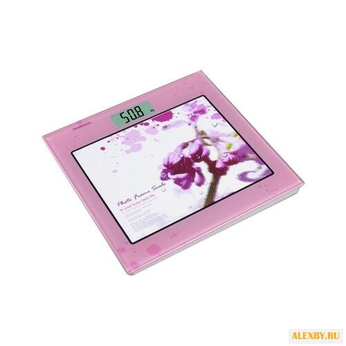 Весы Camry EB9342-S174