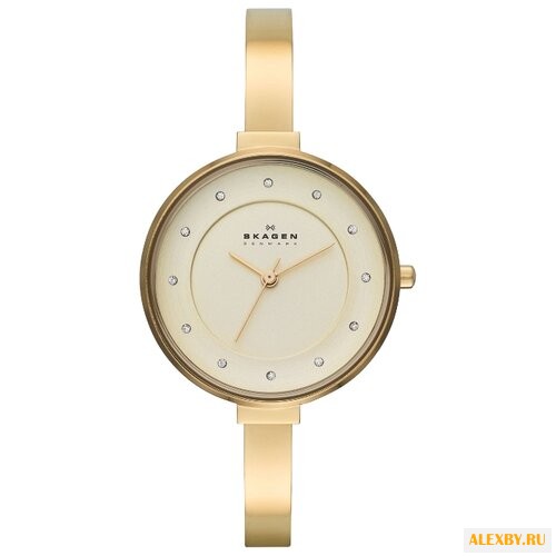 Наручные часы SKAGEN SKW2229