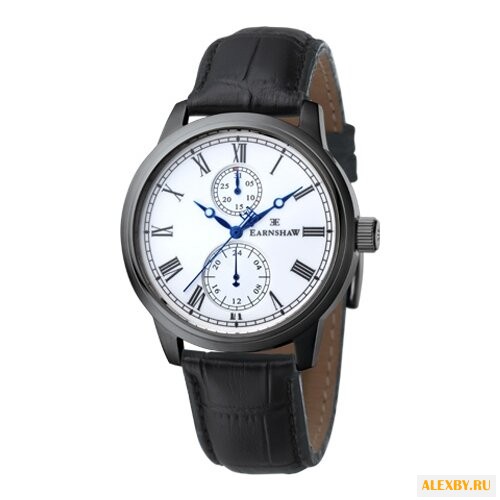 Наручные часы EARNSHAW ES-8002-03