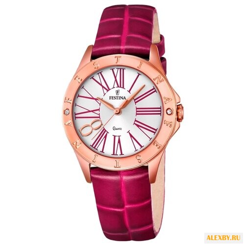 Наручные часы FESTINA F16930 2