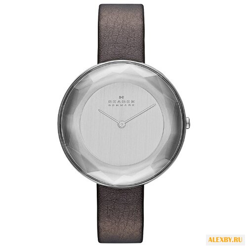 Наручные часы SKAGEN SKW2274