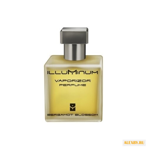 Illuminum Bergamot Blossom