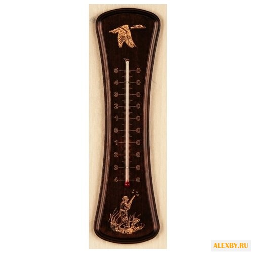 Термометр БРИГ+ 250 4