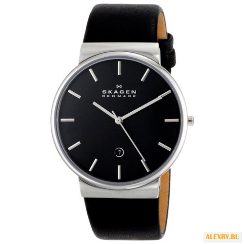 Наручные часы SKAGEN SKW6104