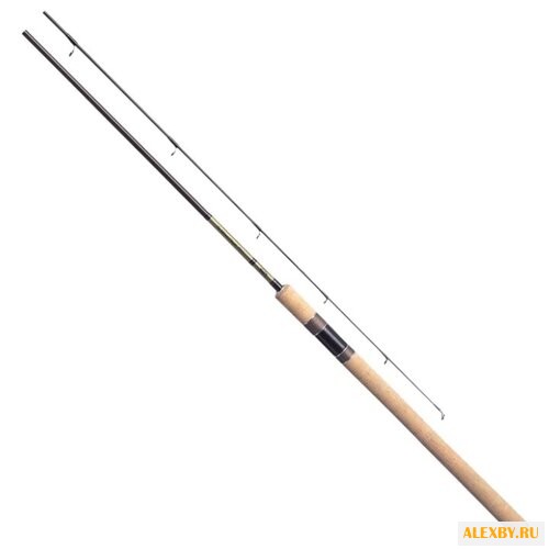 Удилище спиннинговое DAIWA THE