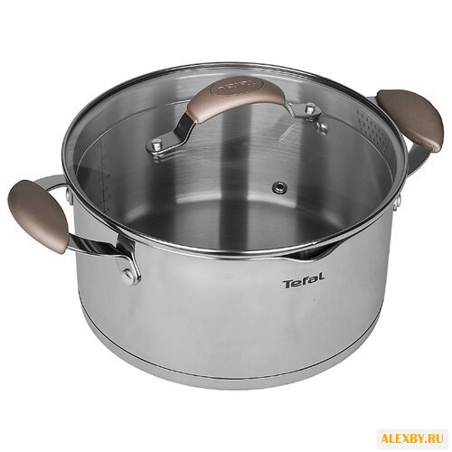 Кастрюля Tefal Inspiration 51 л