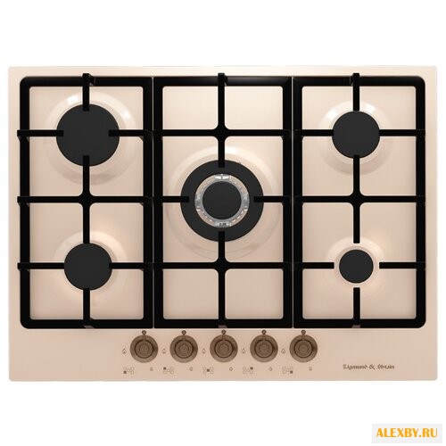 Варочная панель Zigmund &