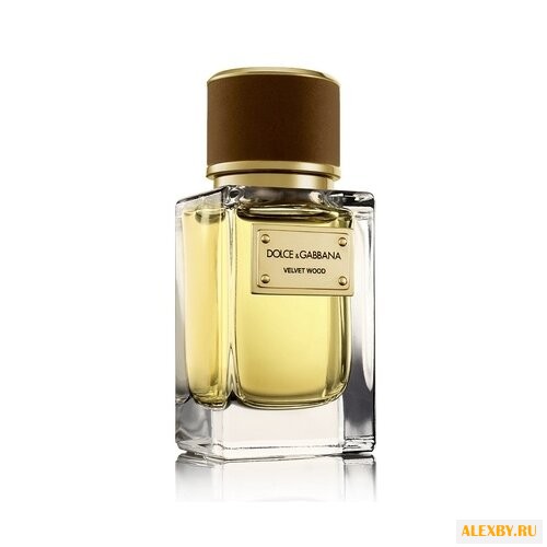 DOLCE & GABBANA Velvet Wood