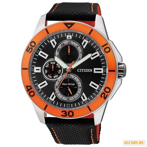 Наручные часы CITIZEN AP4031-03E