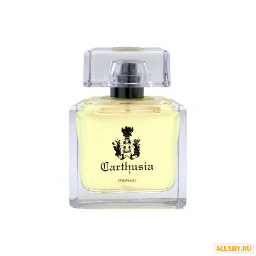 Carthusia Mediterraneo