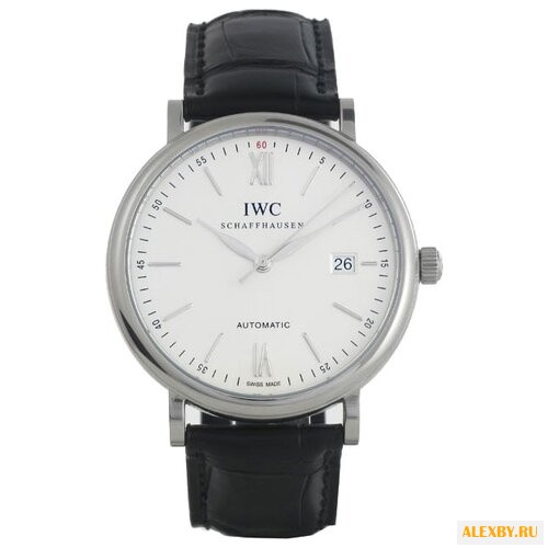 Наручные часы IWC IW356501