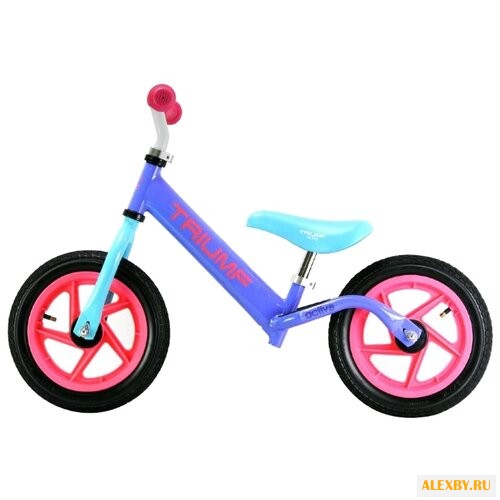 Беговел Triumf Active AKB-1209W