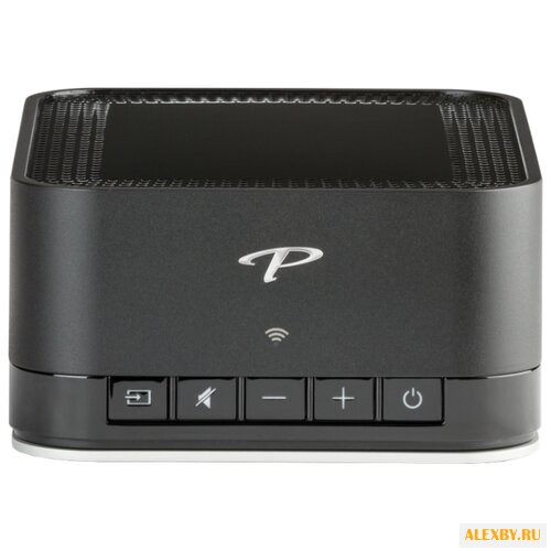 Интегральный усилитель Paradigm