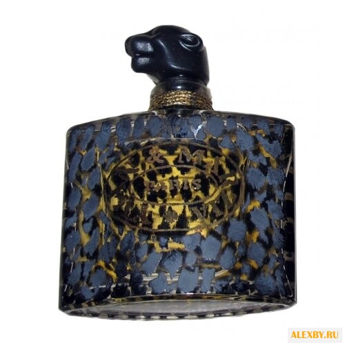 Yvan & Marzia Yvan & Marzia